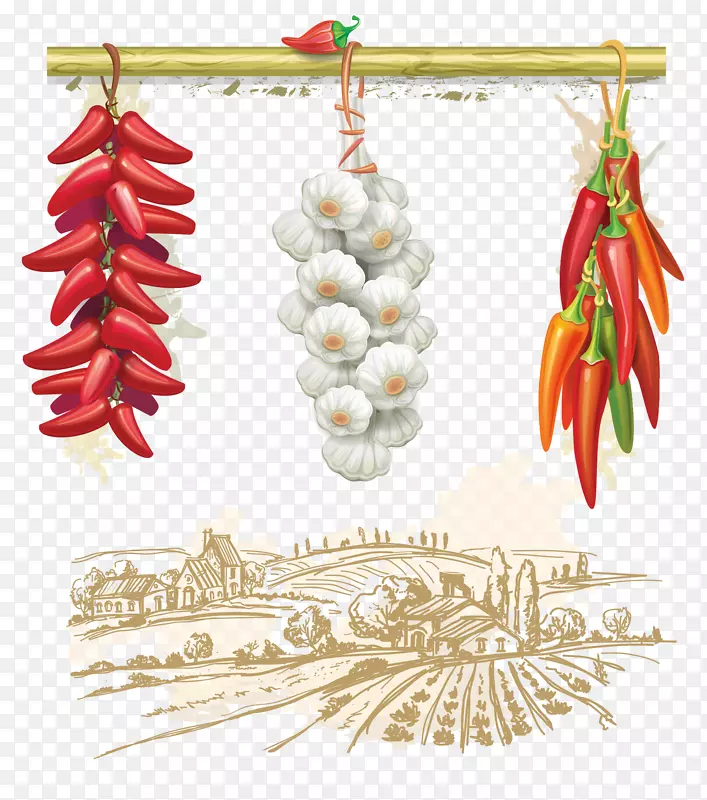 ʸ��ͼ�������-������