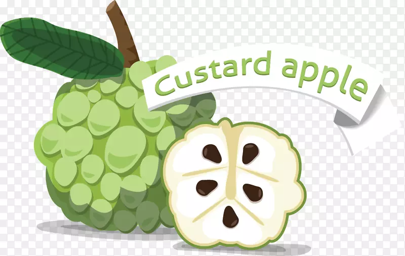 ˮ��Ԫ��-������