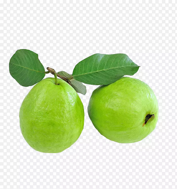 ����ˮ����ʯ��-������