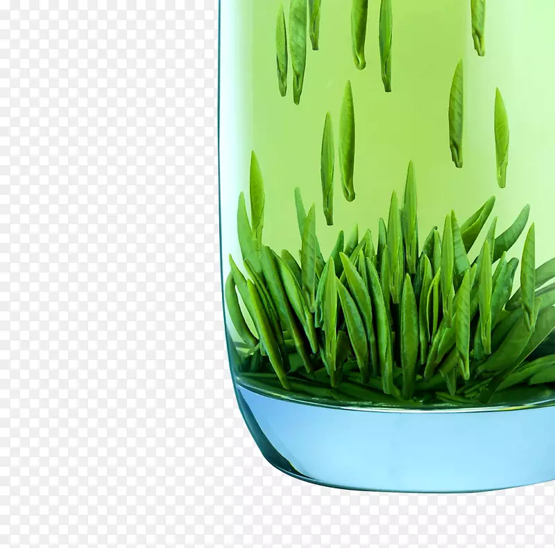 ��Ҷ���ز�-������