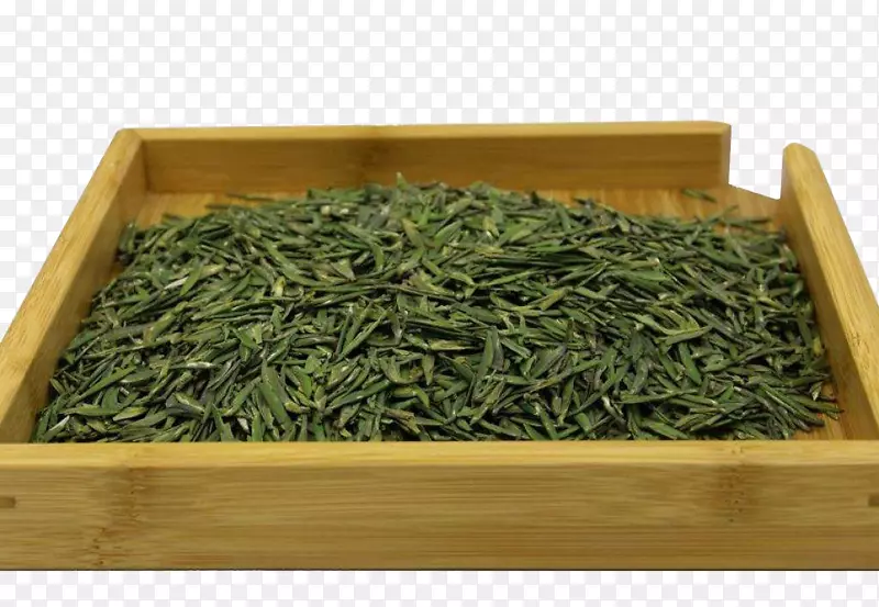 ��Ҷ������ز�-������