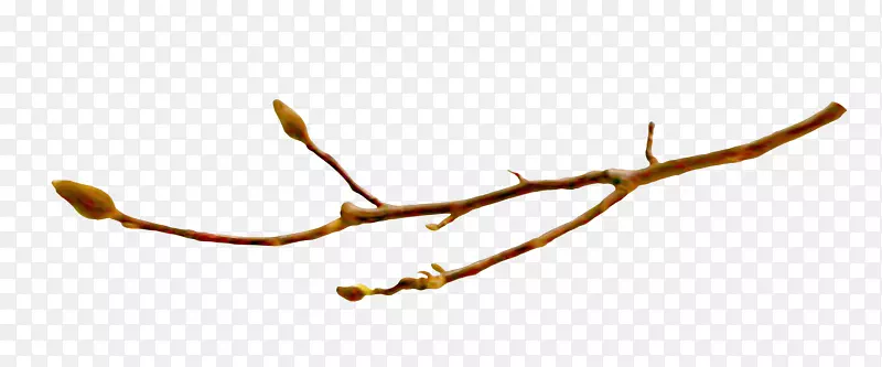 ��֦����-������