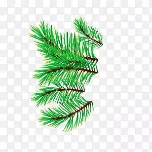 ��ɫʥ������֦����-������