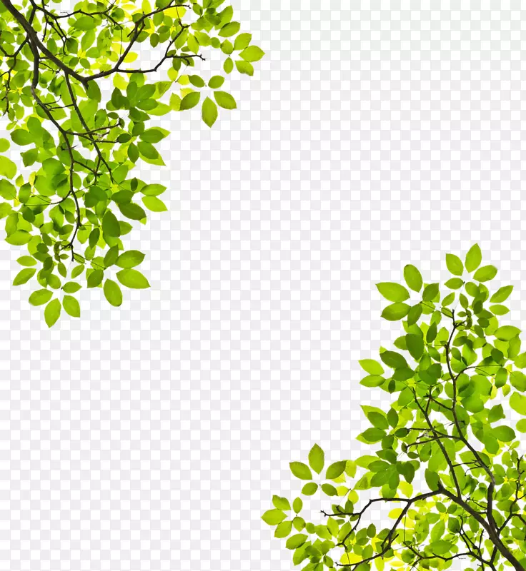 �Գ�����-������