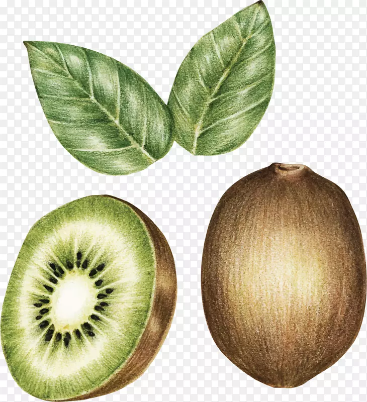 �ֻ��ˮ��⨺���-������