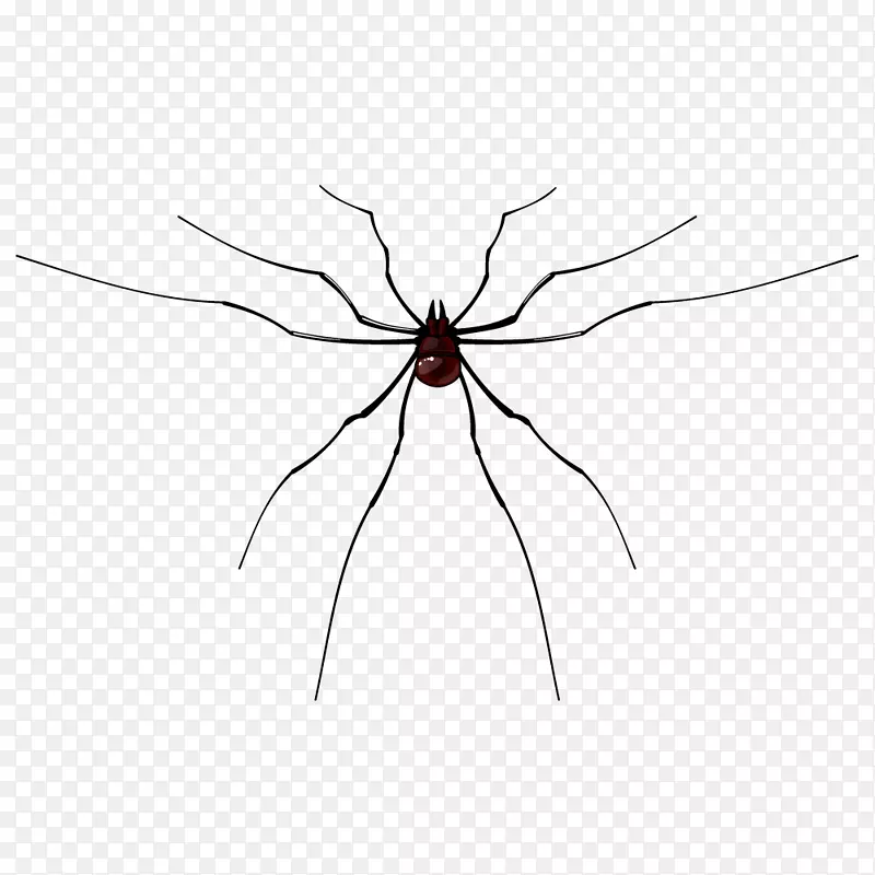 ��Լ֩������ͼƬ-������