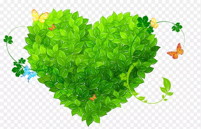 ������ɫ����װ��Ҷ��-������