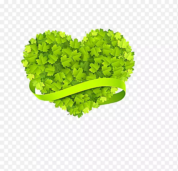 ��Ҷ����-������