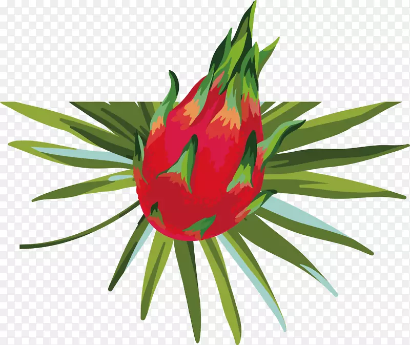 �ֻ��ȴ�ˮ���������ز�-������