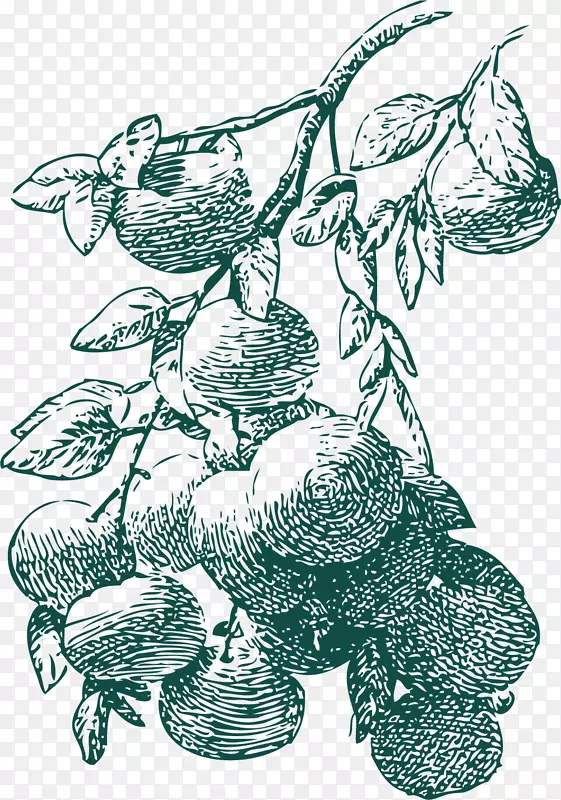 �����ͨ�������-������