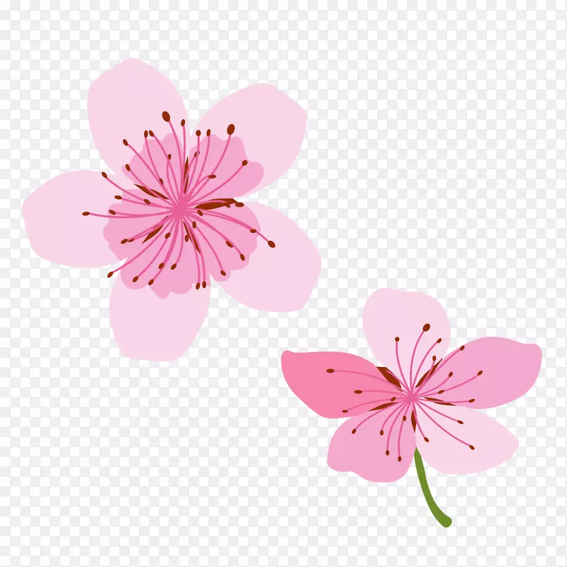 ���컨�䴺��ӣ���һ��ز�-������