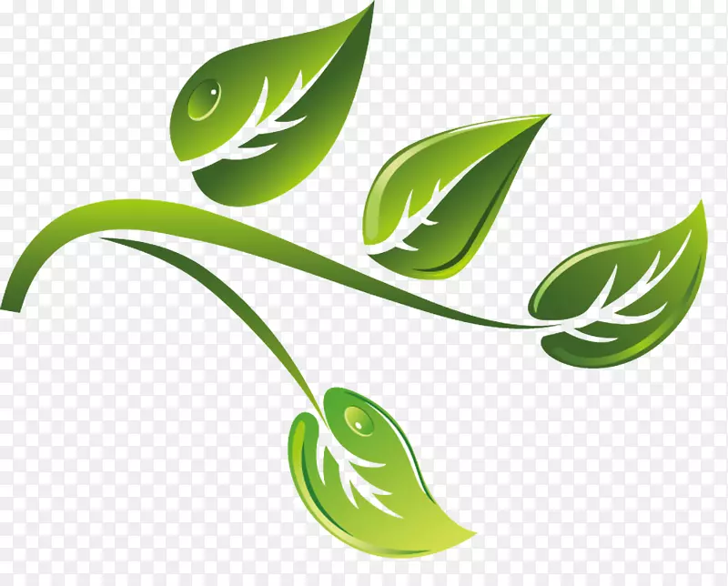 ��ɫ��ͨ����֦ʸ���ز�-������