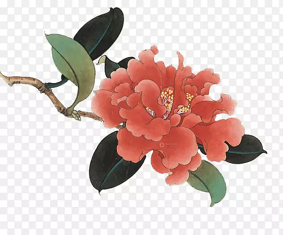 ��ɫɽ����֦-������