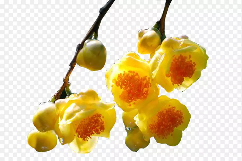 �𻨲軨��-������