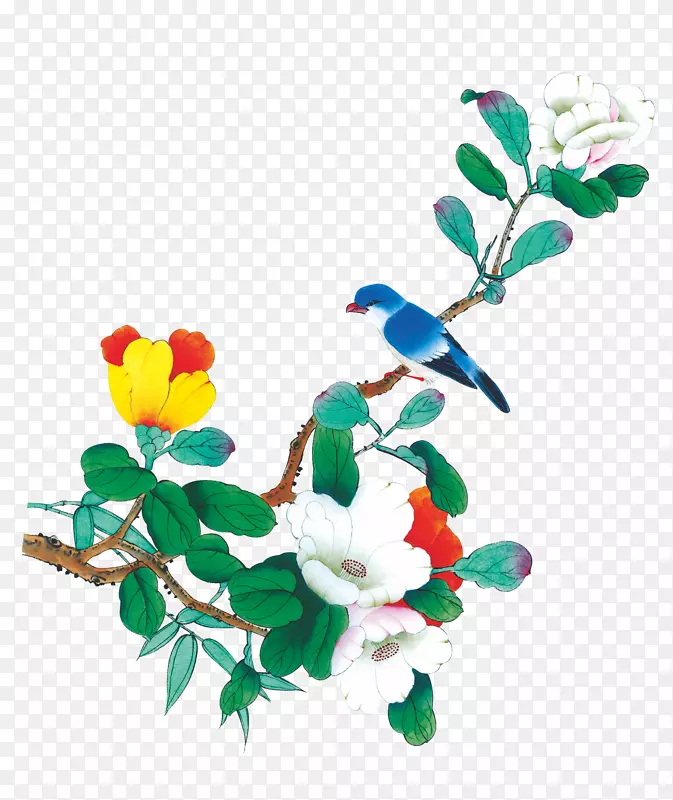 ��ī�軨-������