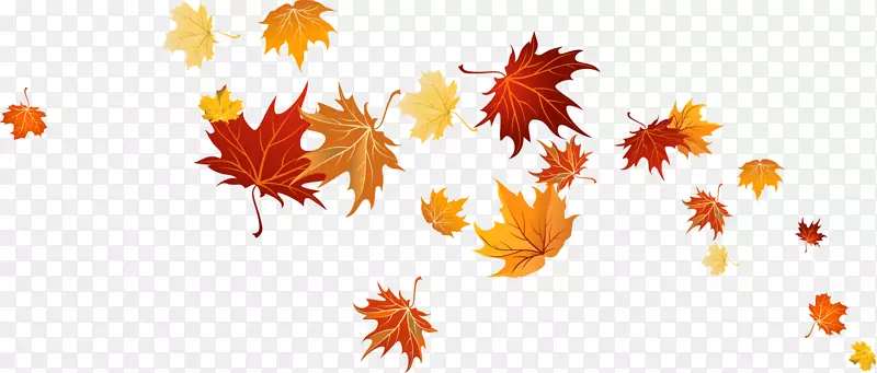 Ư�����Ҷ��-������