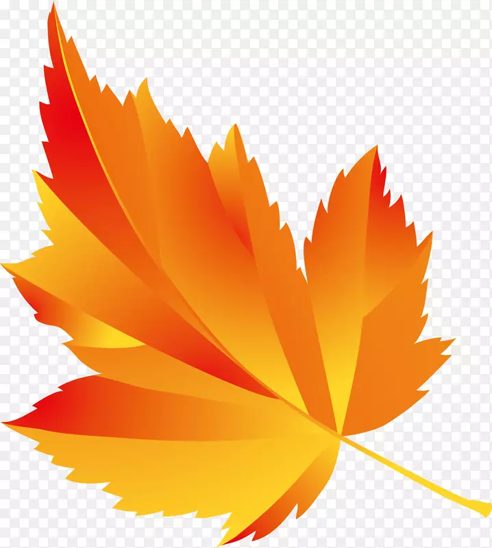 Ψ����ʷ�Ҷ-������