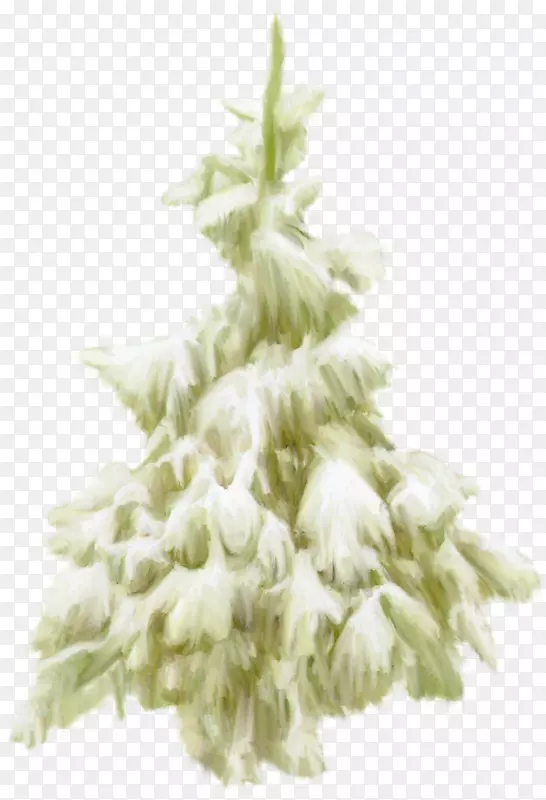 ��ѩ���ǵ�����-������