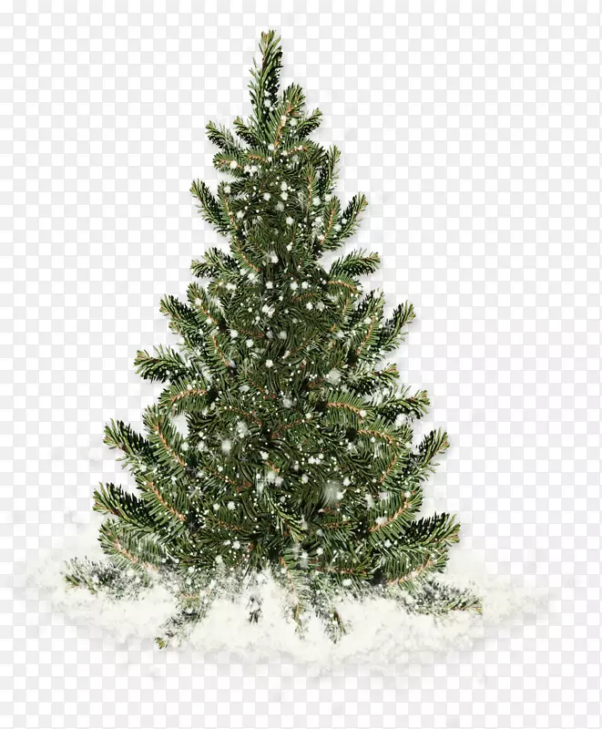 ��ѩ���ǵ�����-������