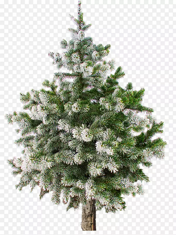 ��ѩ���ǵ�����-������