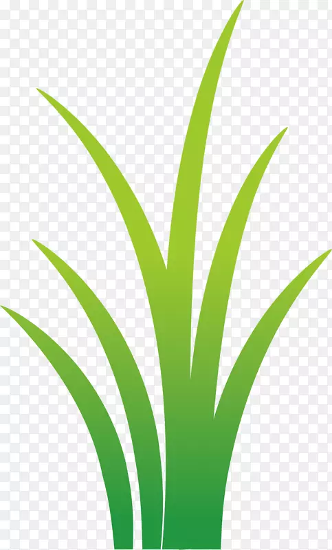 ��ɫ��װ�μٻ��ٲ�-������