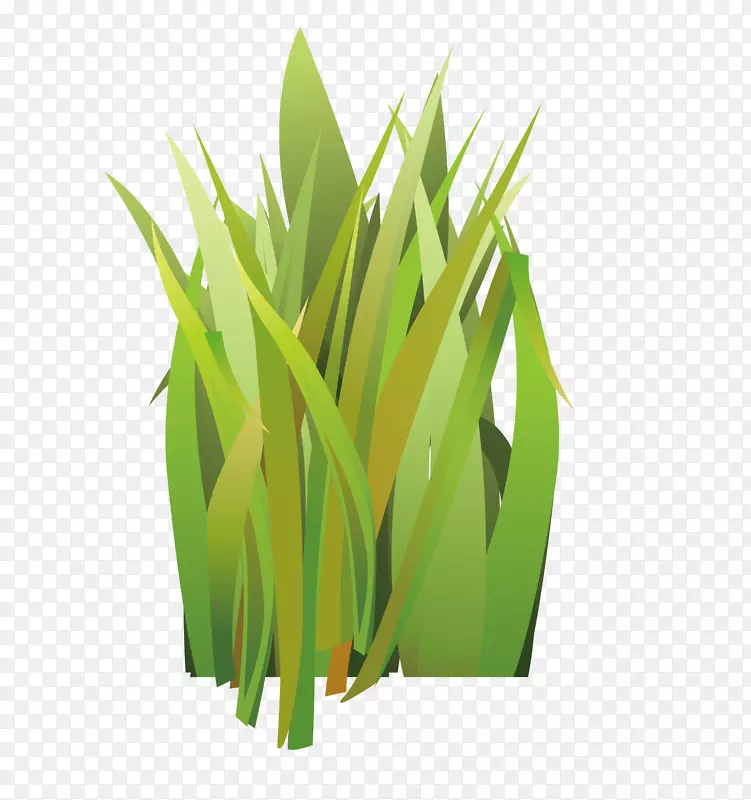 �����װ�μٻ��ٲ�-������