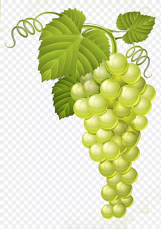 �ֻ�����-������