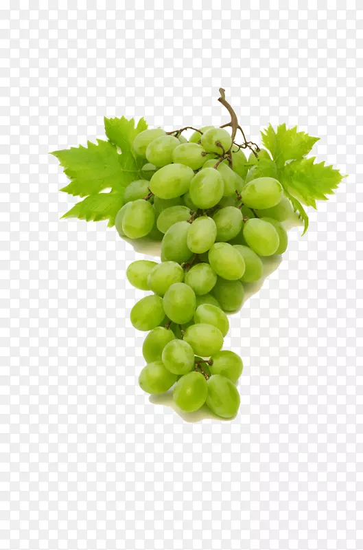 ��ɫ����-������