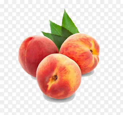 ���ʵ�ˮ����-������