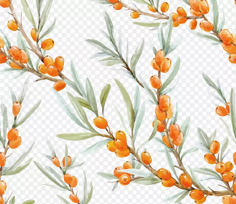 ʸ��ˮ����������-������