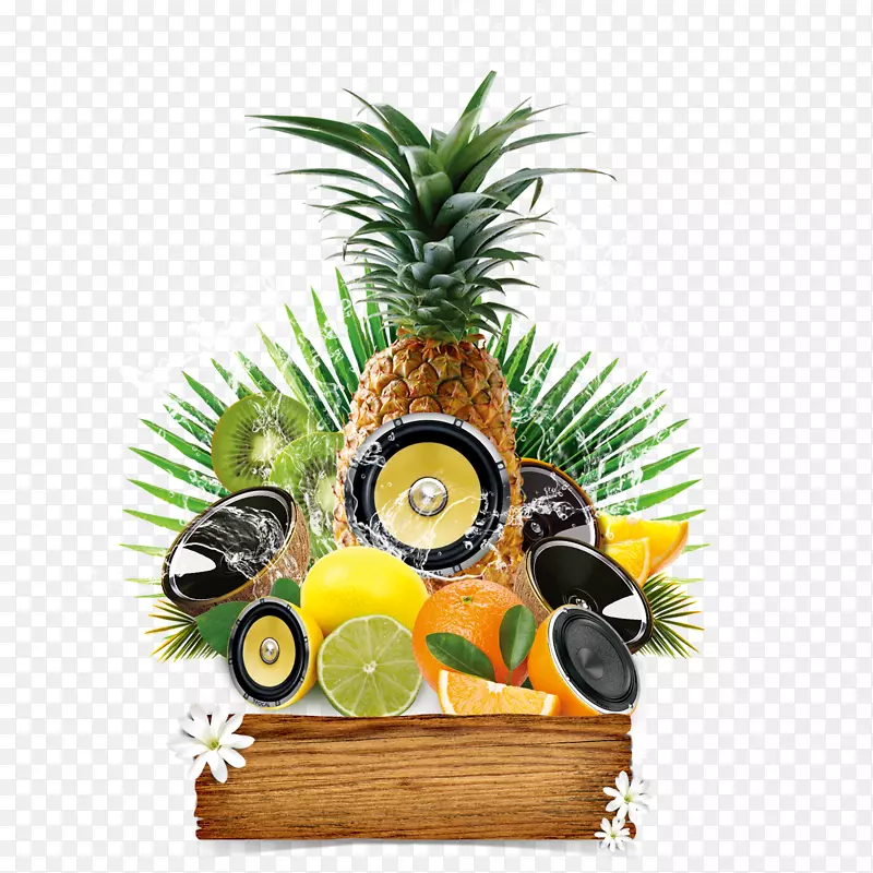 ˮ���ɶ�-������