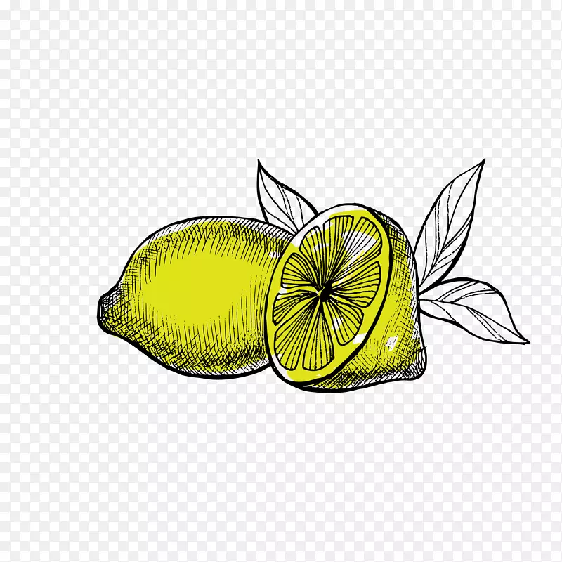 �ֻ��������ͼ����-������