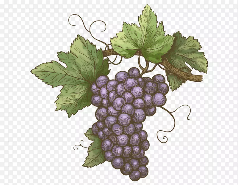 �����ֻ��������-������