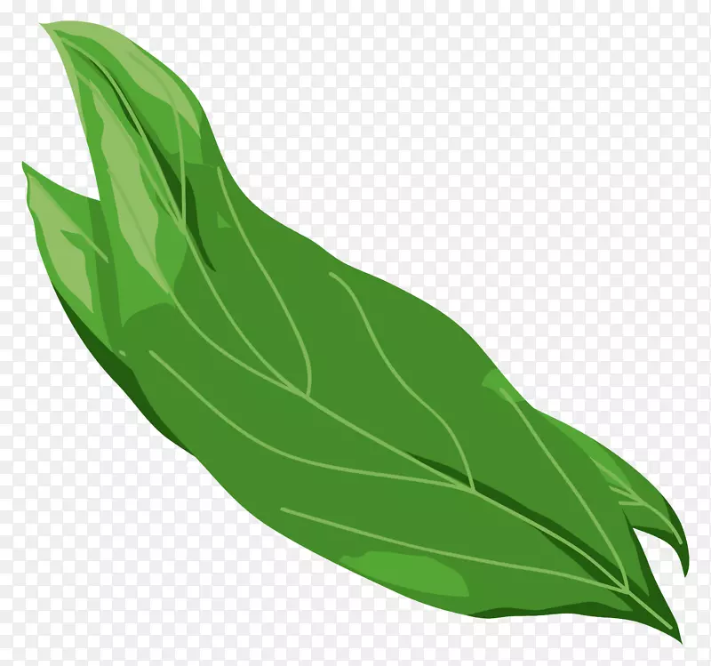 ��ͨ�ֻ��߲�װ�κ������-������