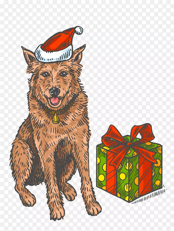 ��ͨ�ɰ�С����װ�ζ���ͷ�񹷹�-������