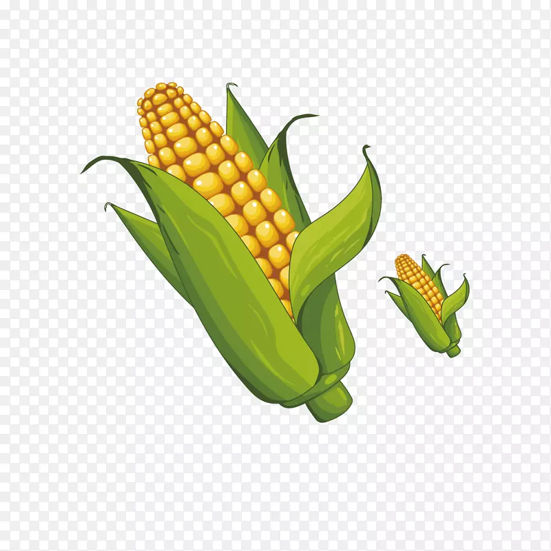 ��ͨ��������ز�-������