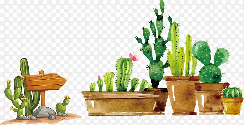 ����С�������˲�-������