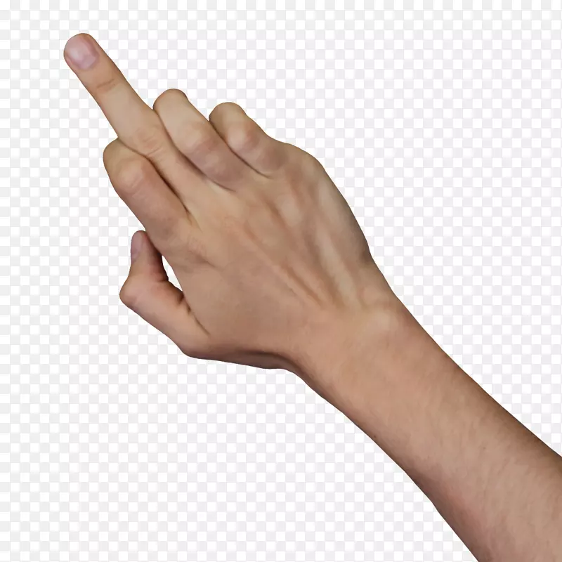 ��ָ����-������