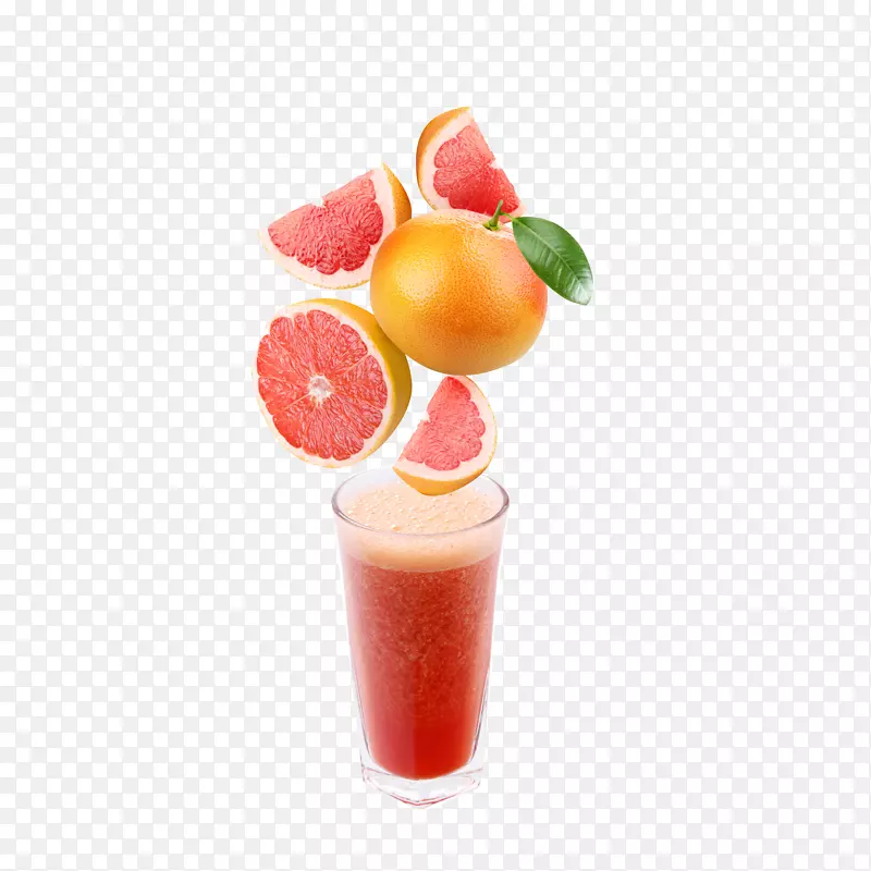 ���ӹ�֭-������