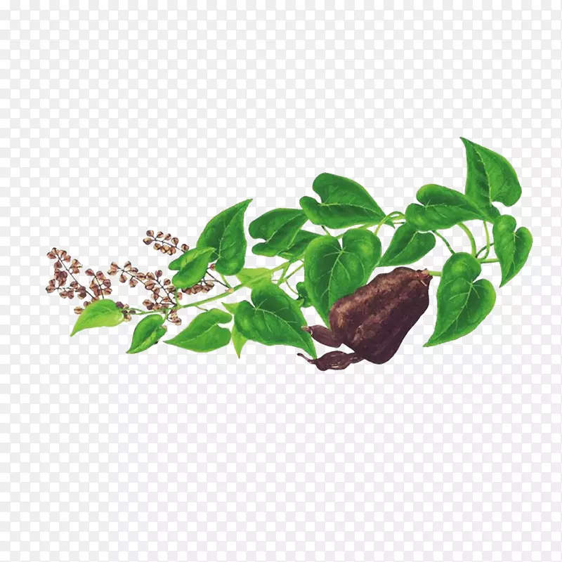 �ֻ������-������