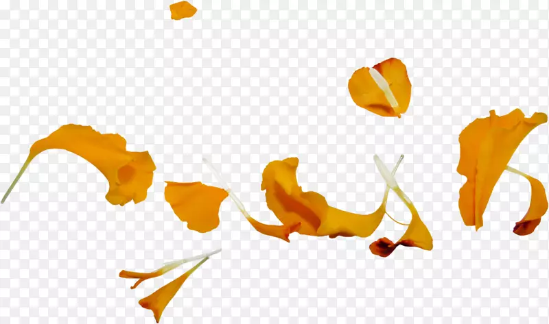 �����زĻ���Ʈ��-������