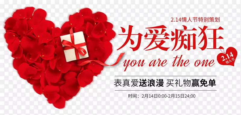 2��14��Ϊ���տ�-������