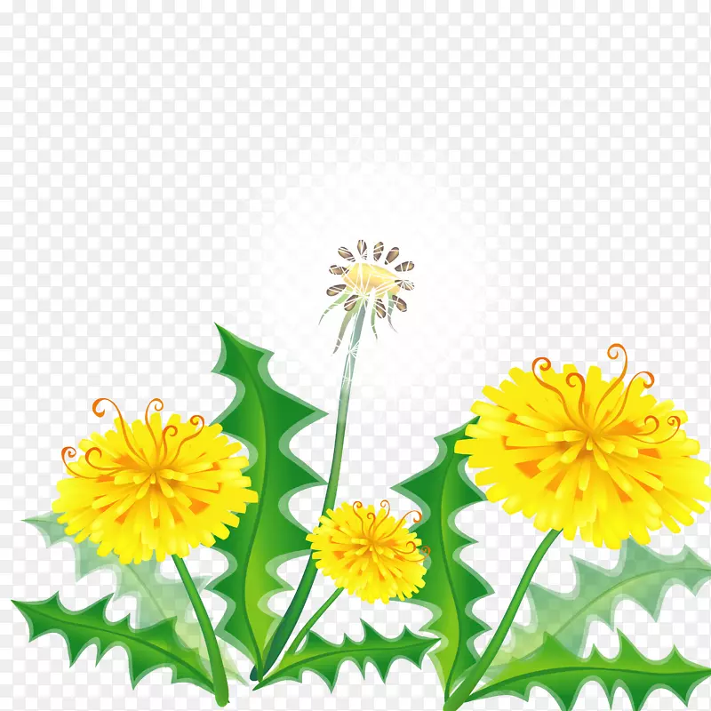 �ֻ��ѹ�Ӣʸ���ز�-������