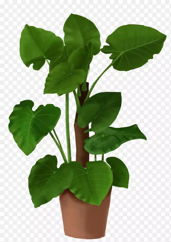 �ֻ�ֲ����õ�ˮ����-������