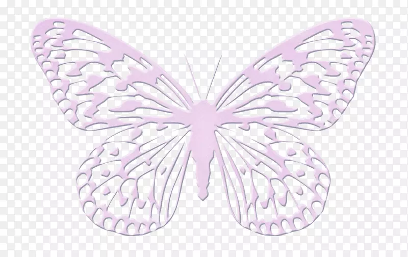 ��ɫ����-������