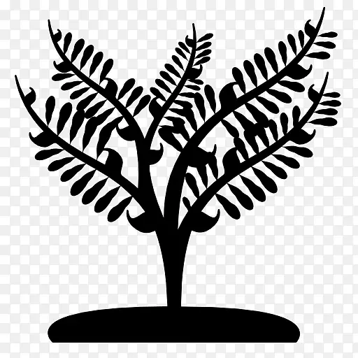 ��Ӱ-������