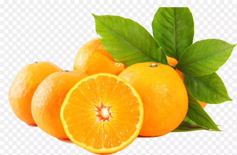 �����˸��� ����28-������