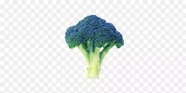 ��ɫ�߲˻�Ҭ��װ��-������