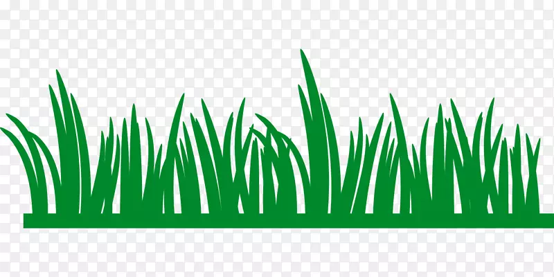 ��ƺ������-�ֵ�-������