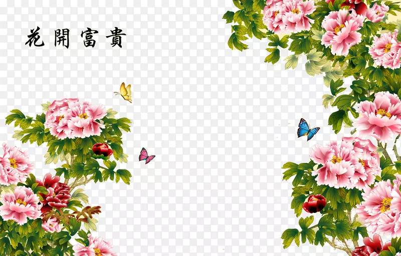 ������������ز�-������